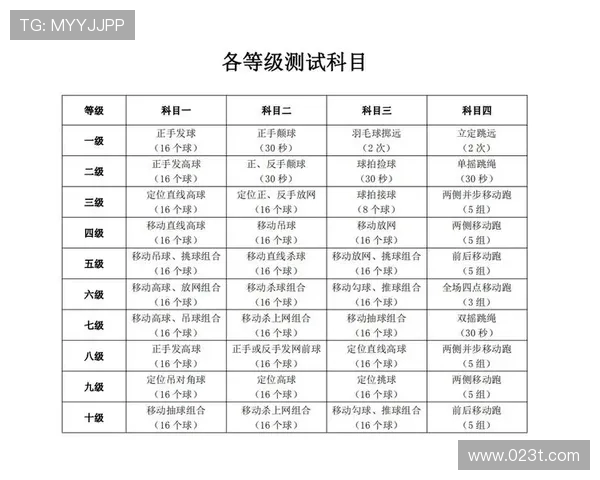 西安羽毛球队的精神与意识探讨:从竞技到文化的深度剖析