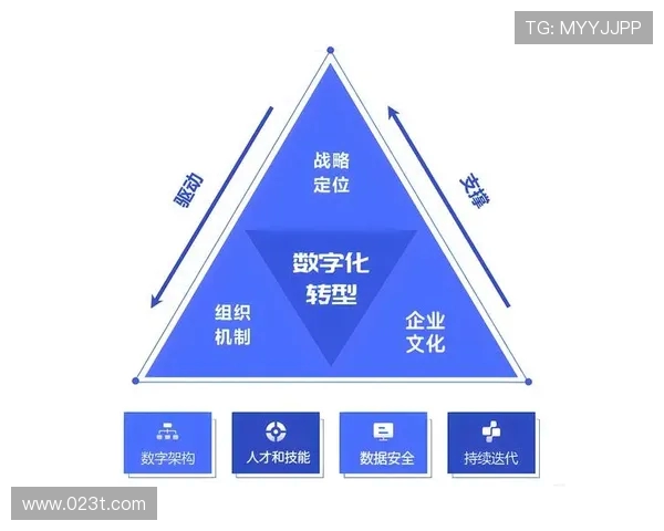 北京篮球队的转型之路揭秘：从传统强队到现代竞技的华丽蜕变